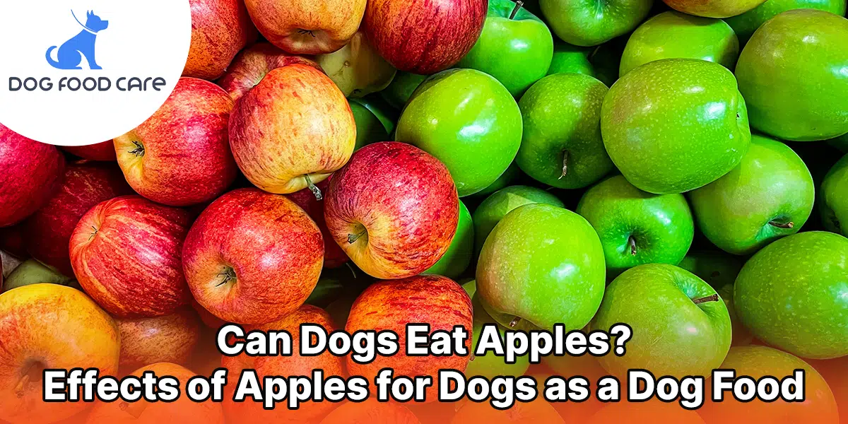 can a dog eat apples