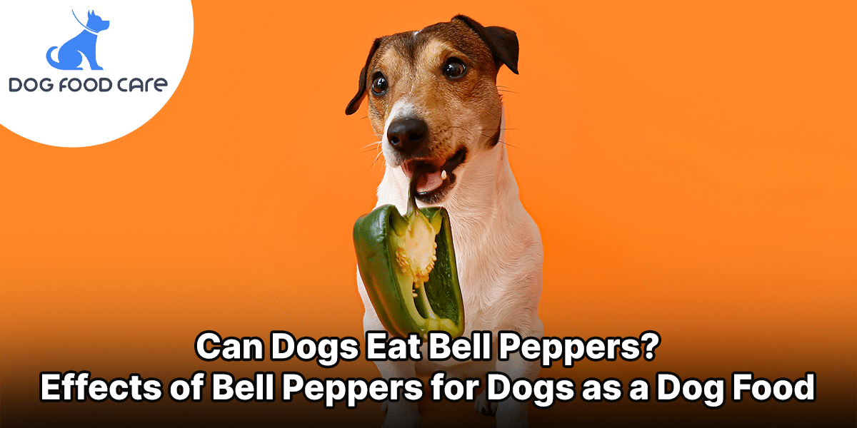 Can Dogs Eat Bell Peppers? Effects of Bell Peppers for Dogs as a Dog