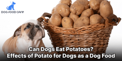Can Dogs Eat Potatoes Effects of Potato for Dogs as a Dog Food