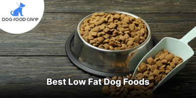 Best low fat dog foods dogfoodcare.com