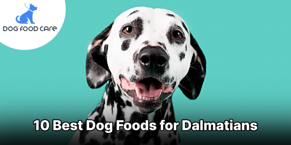 10 Best Dog Foods for Dalmatians