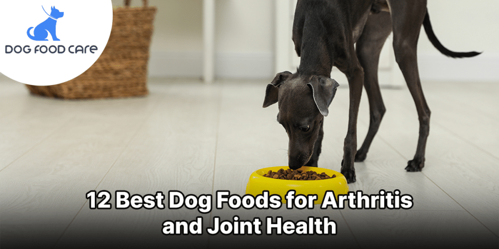Best Dog Foods for Arthritis and Joint Health
