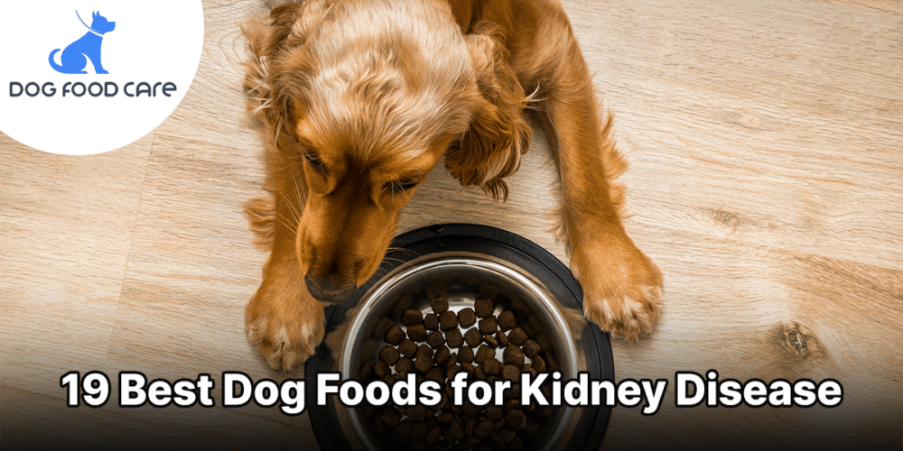 19 Best Dog Foods for Kidney Disease