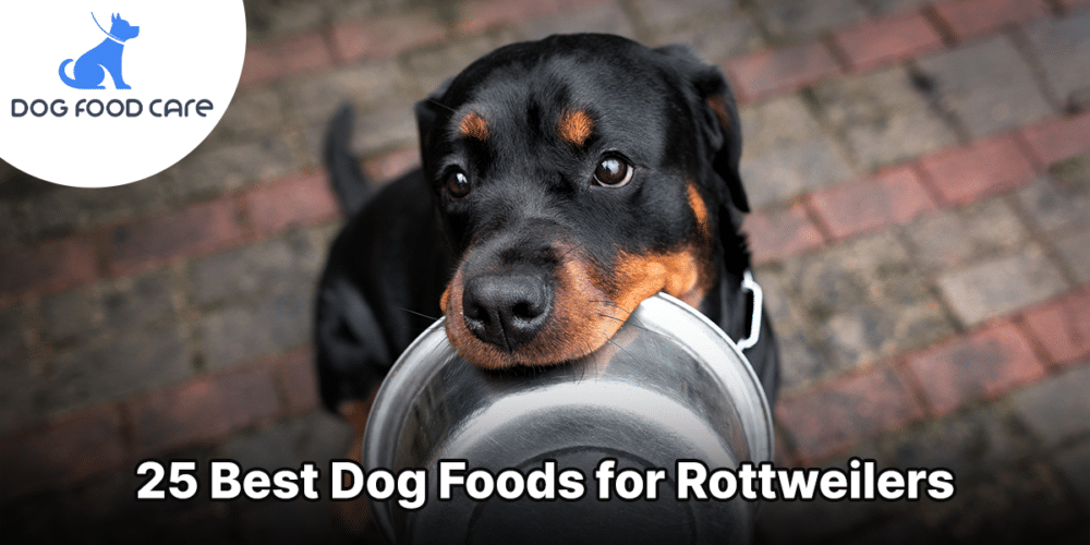 25 Best Dog Foods for Rottweilers