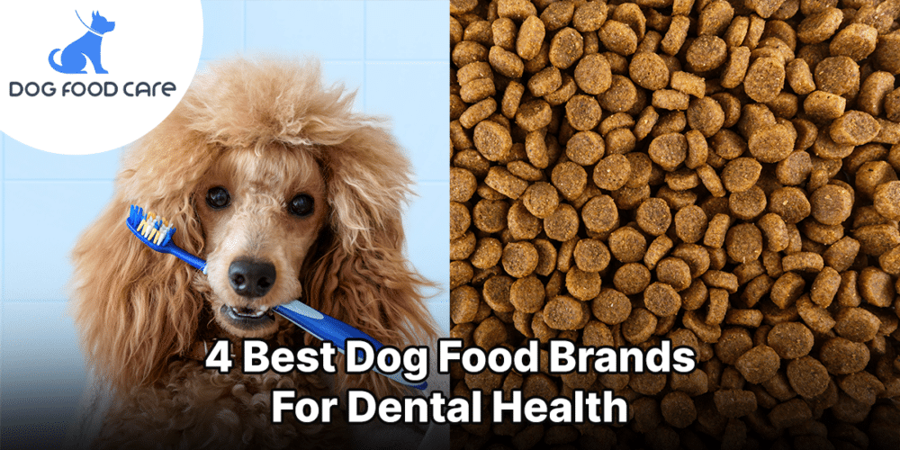 4 Best Dog Food Brands For Dental Health