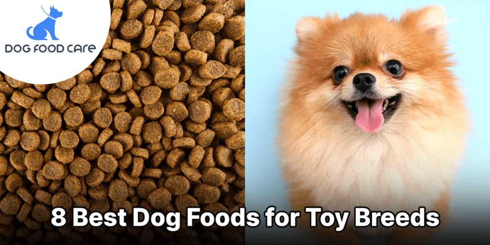 8 Best Dog Foods for Toy Breeds