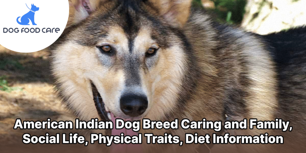 American Indian Dog Breed Caring and Family, Social Life, Physical Traits, Diet Information