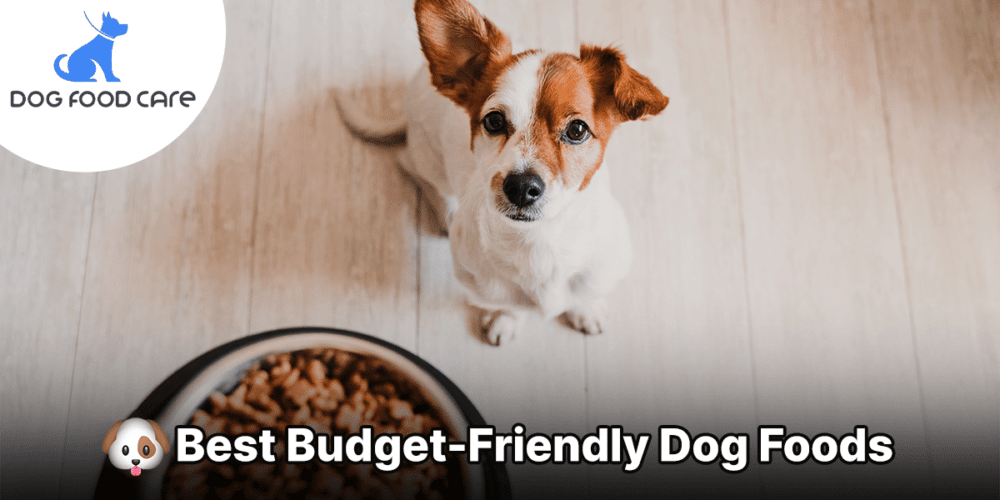 Best Budget-Friendly Dog Foods