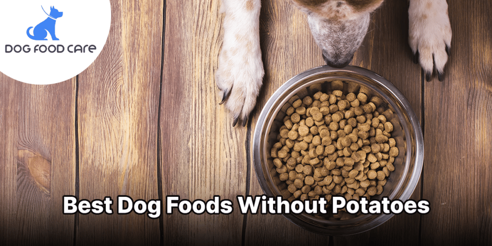 best dog foods without potatoes