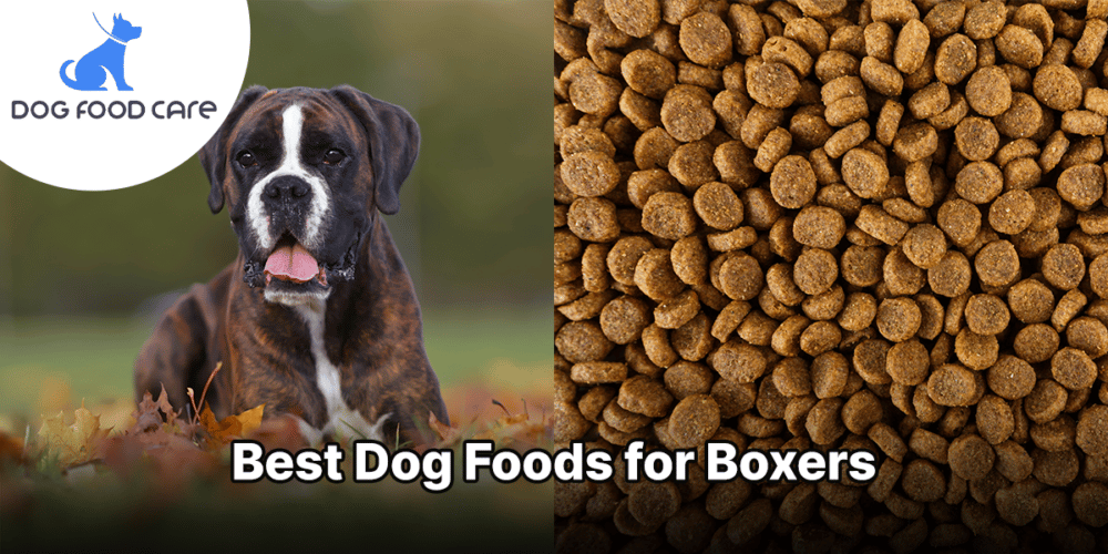 best dog food for boxers dogfoodcare.com