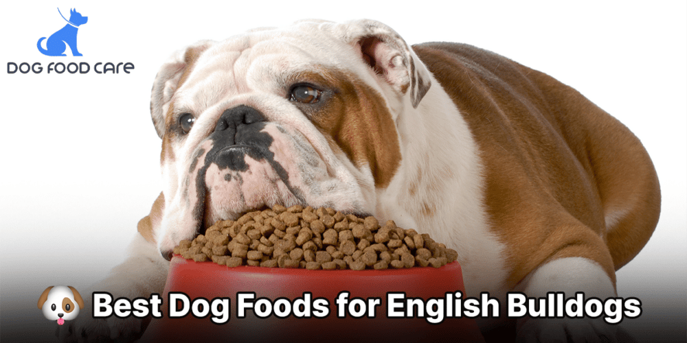 Best Dog Foods for English Bulldogs