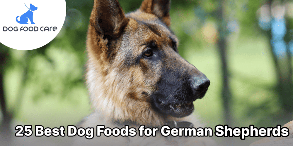 Best Dog Foods for German Shepherds