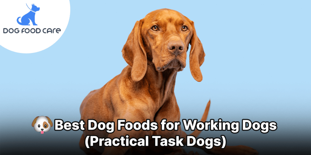 Best Dog Foods for Working Dogs (Practical Task Dogs)