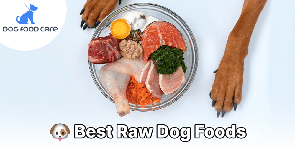 Best Raw Dog Foods