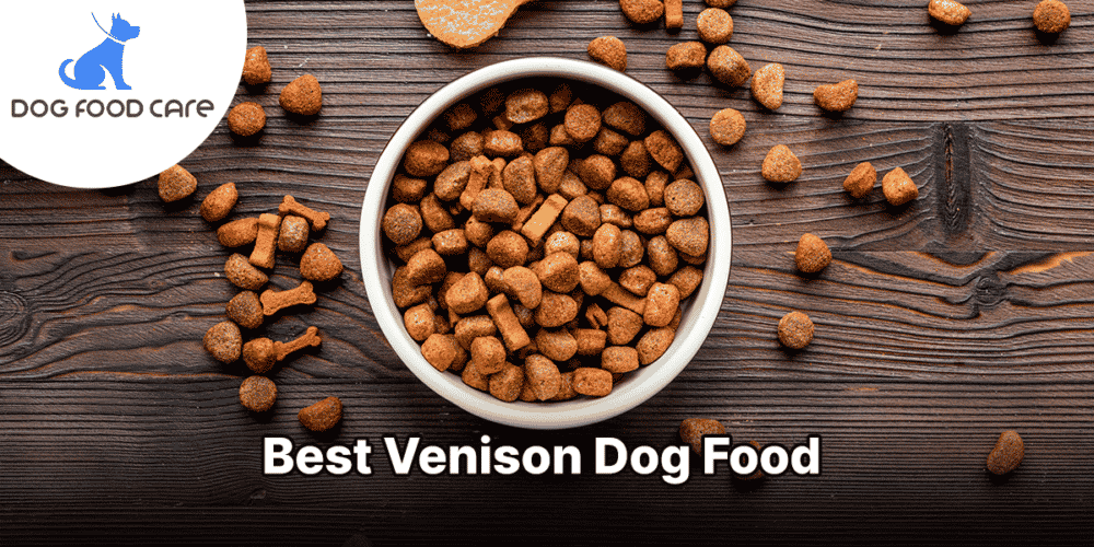 Best Venison Dog Food dogfoodcare.com