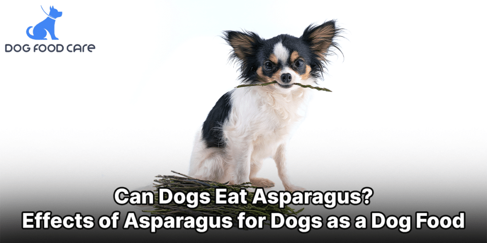Can Dogs Eat Asparagus Effects of Asparagus for Dogs as a Dog Food