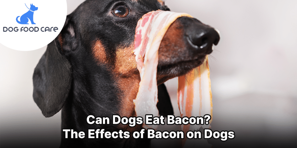 Can Dogs Eat Bacon The Effects of Bacon on Dogs