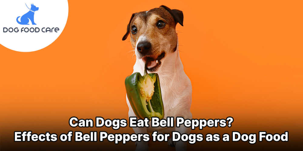Can Dogs Eat Bell Peppers Effects of Bell Peppers for Dogs as a Dog Food