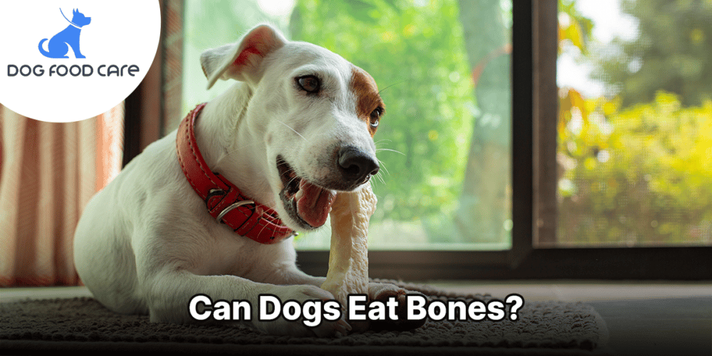 Can Dogs Eat Bones
