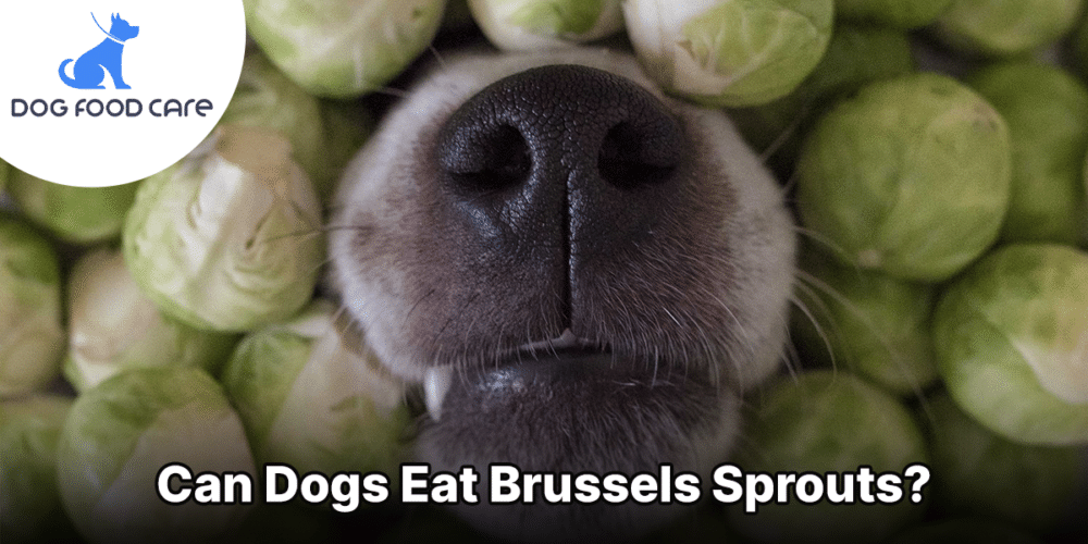 Can Dogs Eat Brussels Sprouts