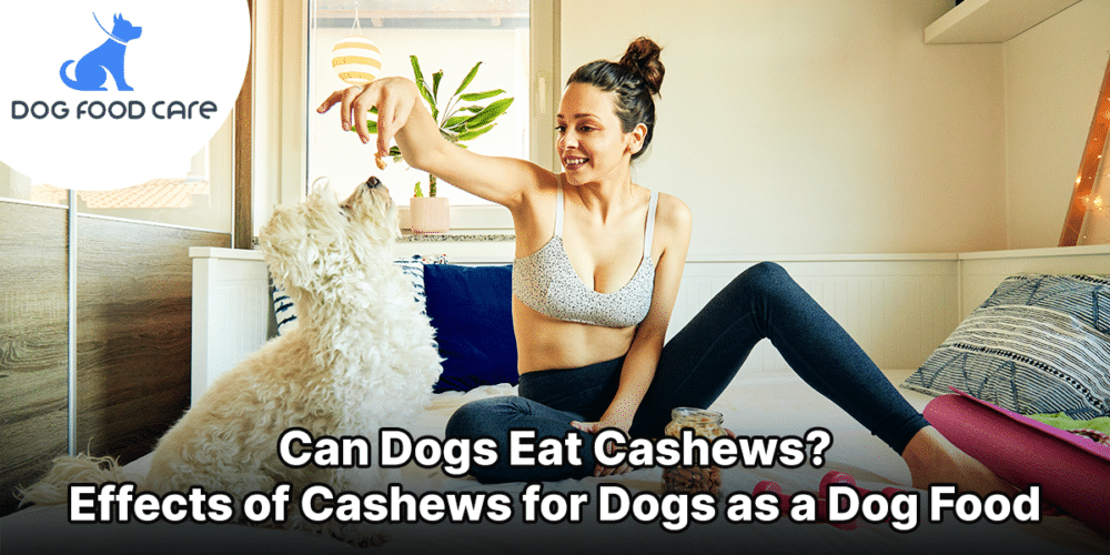 Can Dogs Eat Cashews? Effects of Cashews for Dogs as a Dog Food