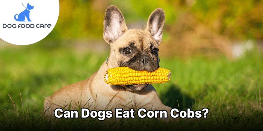 Can Dogs Eat Corn Cobs