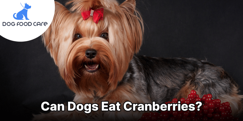 Can Dogs Eat Cranberries