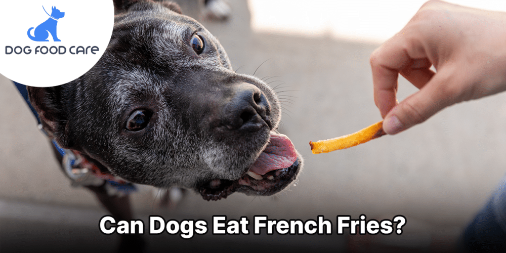 Can Dogs Eat French Fries
