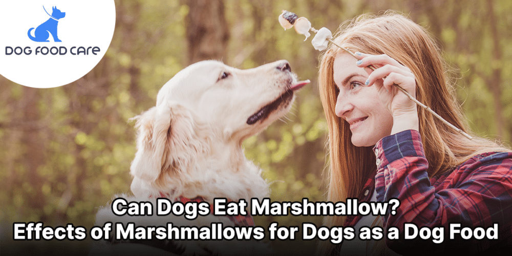 Can Dogs Eat Marshmallow_ Effects of Marshmallows for Dogs as a Dog Food