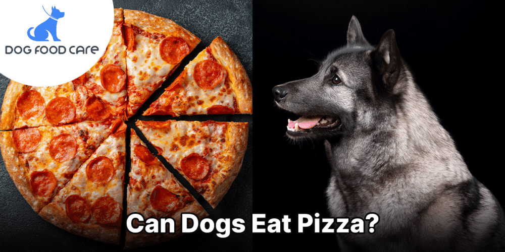 Can Dogs Eat Pizza