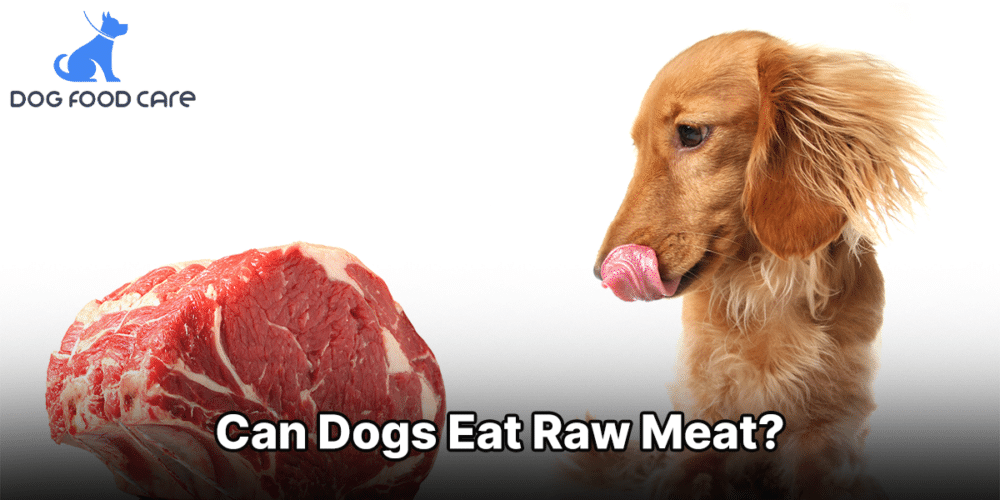 Can Dogs Eat Raw Meat