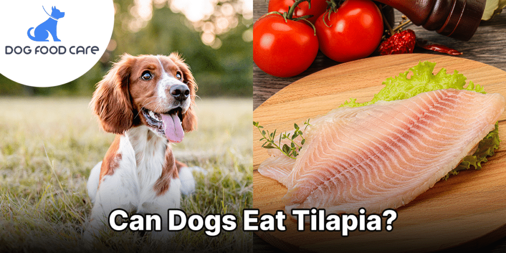 Can Dogs Eat Tilapia