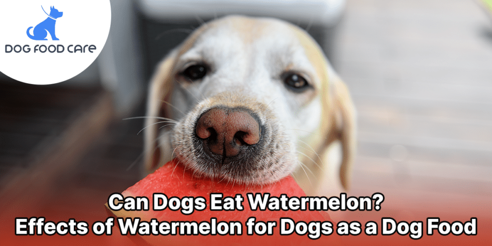 Can Dogs Eat Watermelon_ Effects of Watermelon for Dogs as a Dog Food