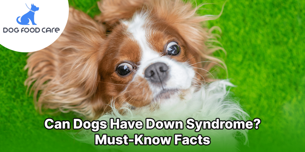 Can Dogs Have Down Syndrome_ Must-Know Facts