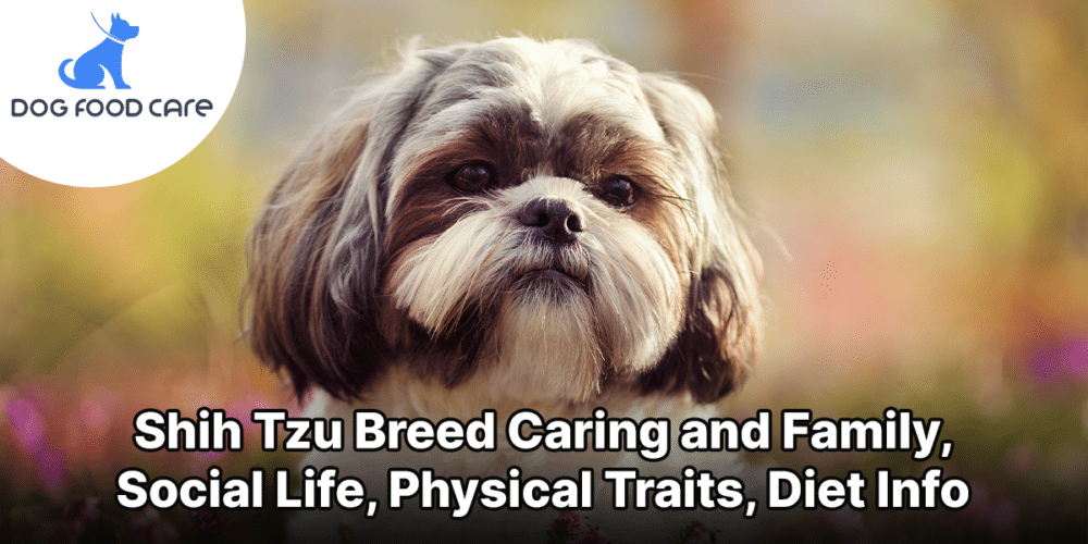 Shih Tzu Breed Caring and Family, Social Life, Physical Traits, Diet Info
