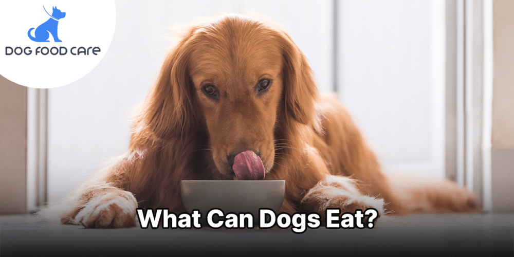 What Can Dogs Eat