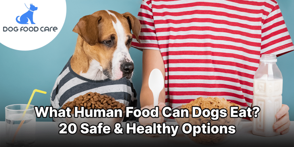 What Human Food Can Dogs Eat 20 Safe & Healthy Options