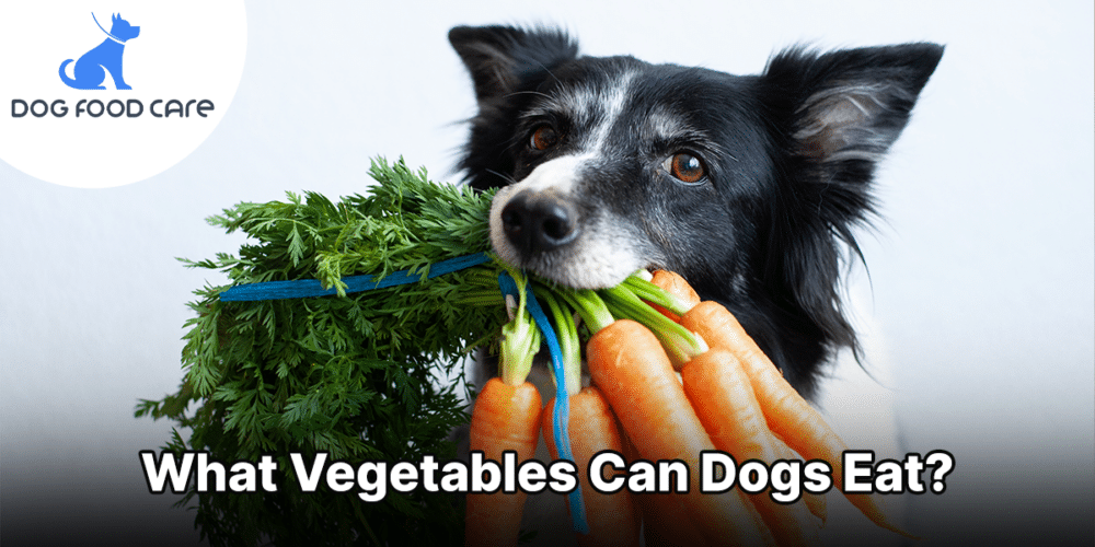 What Vegetables Can Dogs Eat