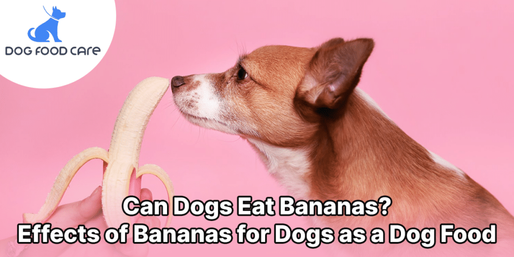 can dogs eat banana