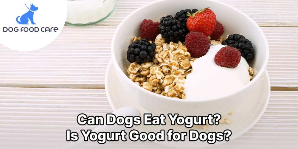 can dogs eat yogurt