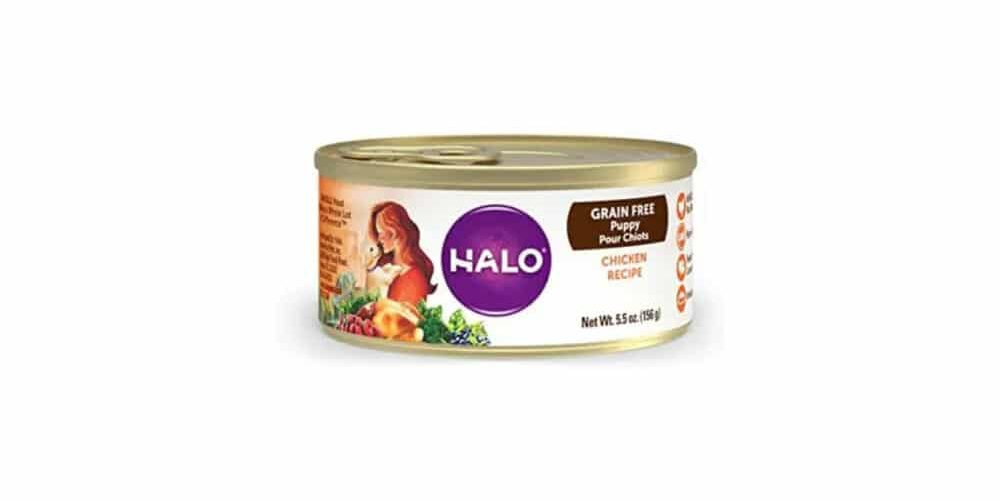 halo dog food review