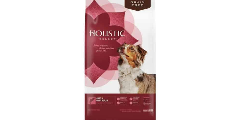 holistic select dog food