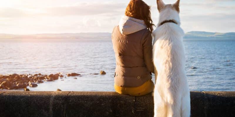 Dog with lonely woman dogfoodcare.com